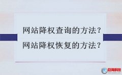 網(wǎng)站降權(quán)查詢以及快速恢復的方法匯總!