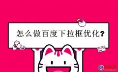 又名普蘭站長網：怎么做百度下拉框優(yōu)化?